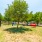 bark park