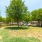 bark park